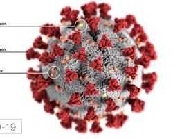 Molecula do virus da Covid 19.